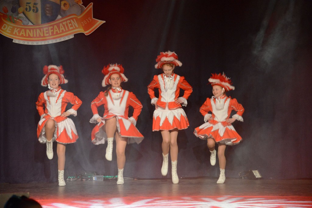 ../Images/Dansmarieke festival 2015 201.jpg